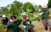 Environment Contribution Activity in Malaysia